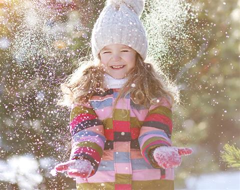 Vibrant succulent plants