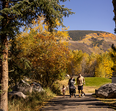 fall foliage and walking path with mountains