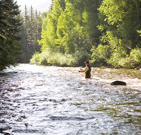 Fly Fishing