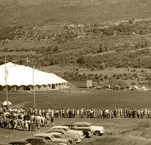 Old cars and crowd in a field