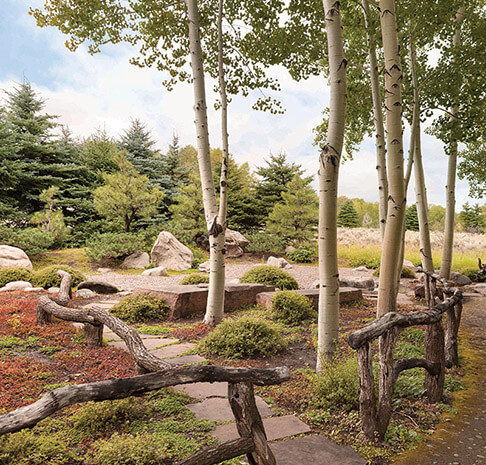 Peaceful Japanese garden