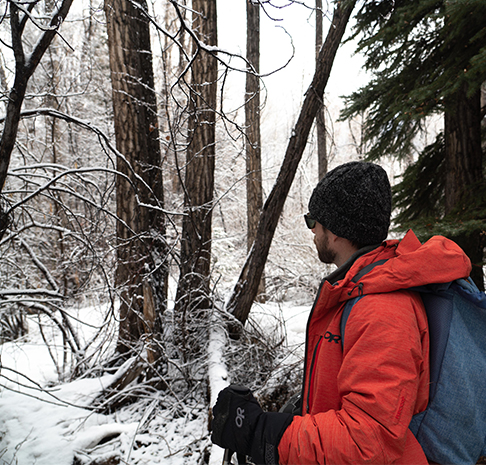 winter explorations