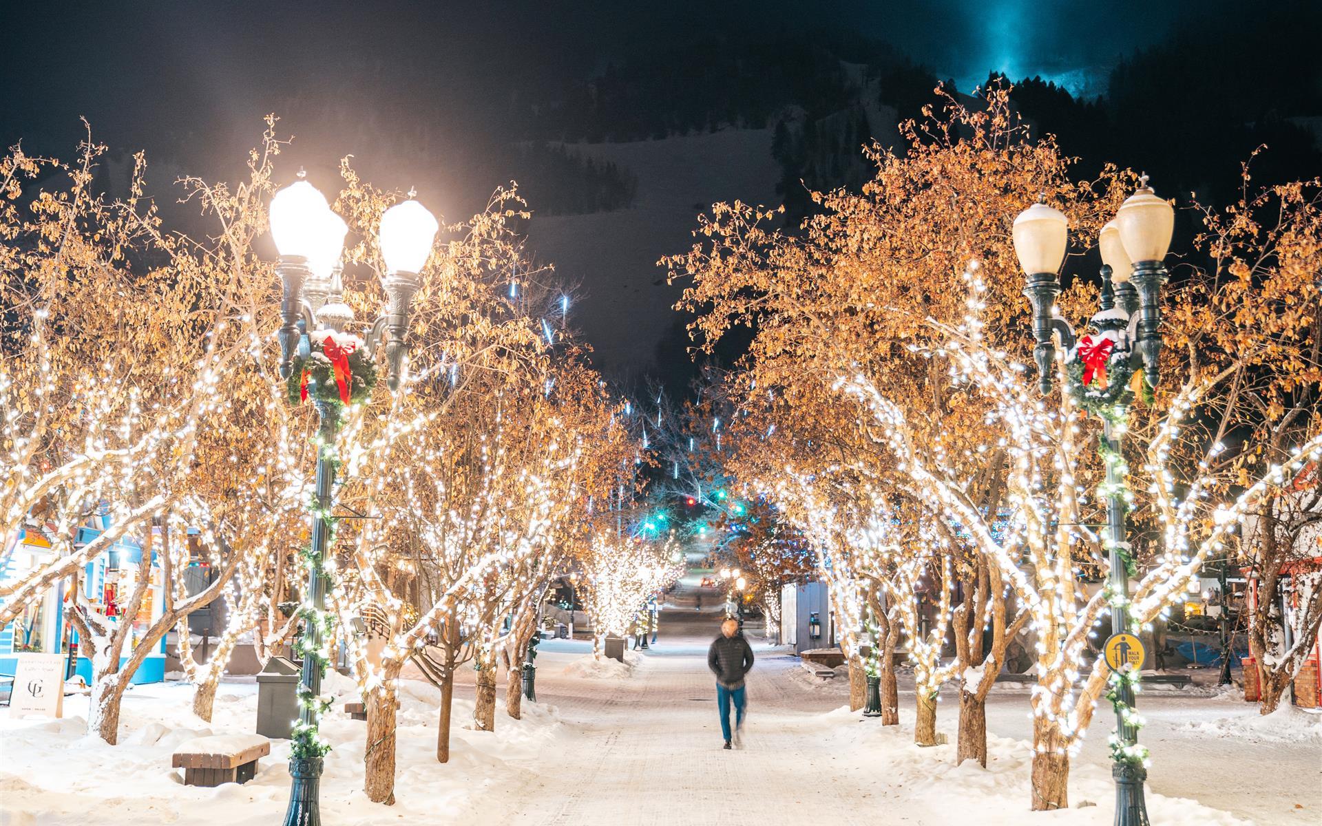 Snowy avenue with trees covered in twinkling white lights