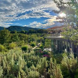 Sunny day in Aspen