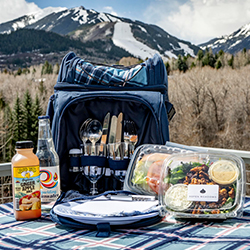 Picnic Backpacks