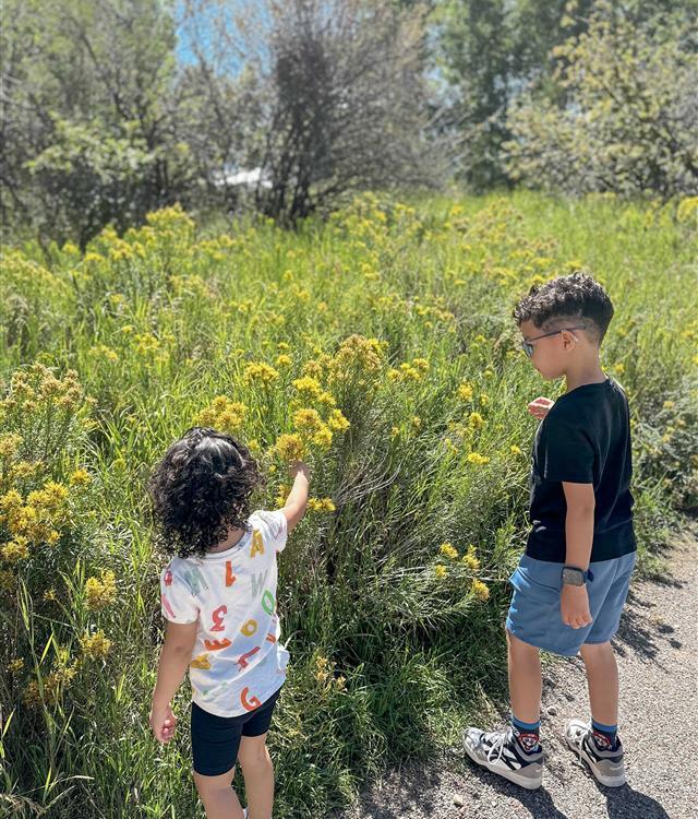 Aerial view from plane with wing and mountains