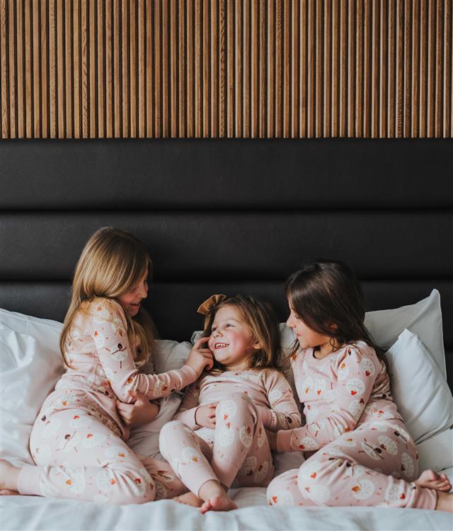 Aerial view from plane with wing and mountains