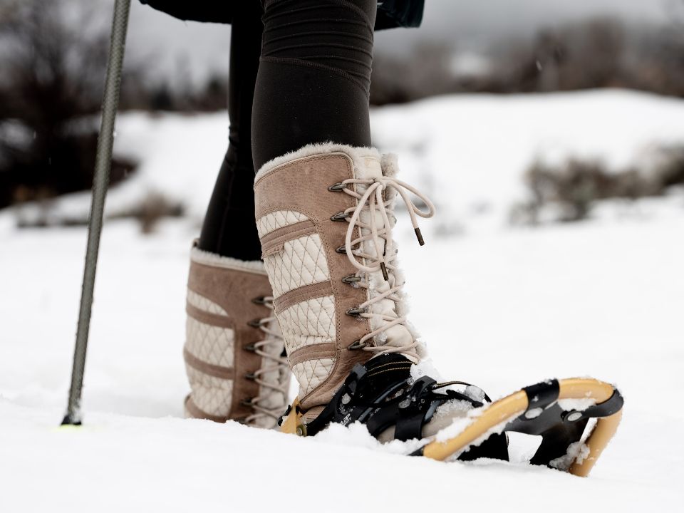 snowshoes in snow