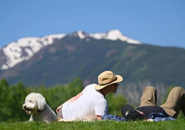 summer in the meadows
