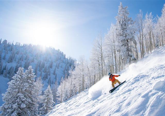 Person in a orange jacket downhill snowboarding on fresh powder