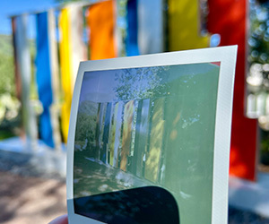 Art at the Meadows