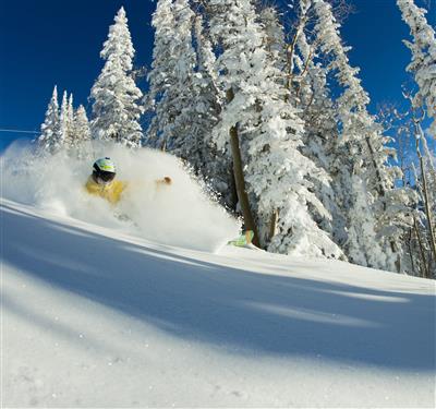 skiing fresh Aspen powder