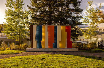 Aspen Meadows in the summer