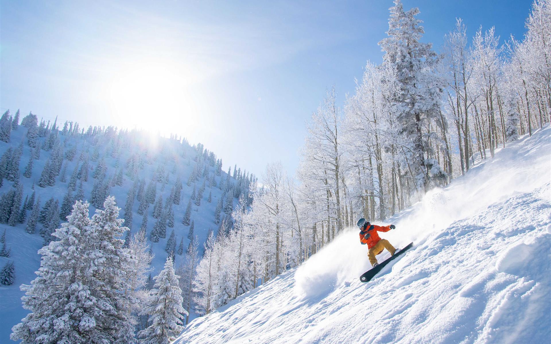 Activies at Aspen Meadows | Resort in Aspen, Colorado