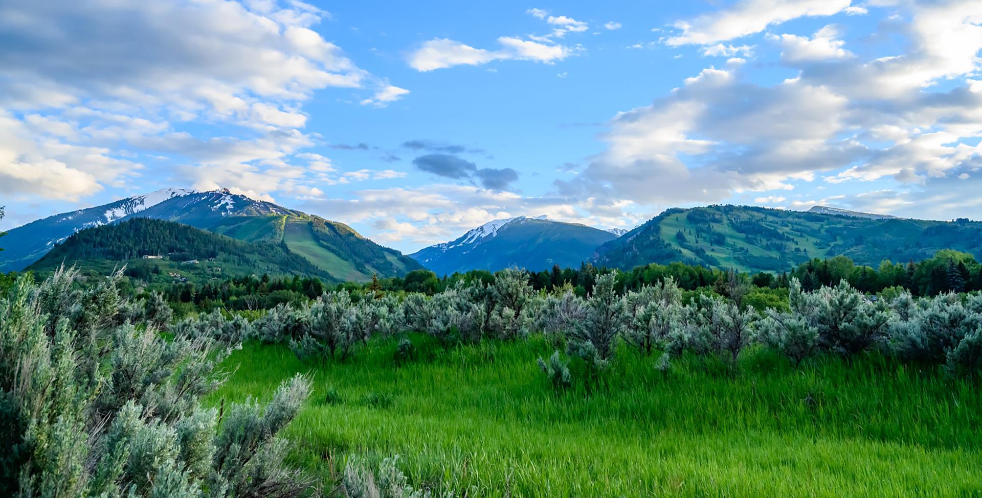 Green Landscape