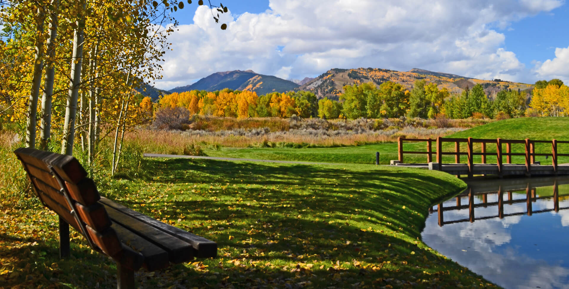 Anderson Park Bench Scenery