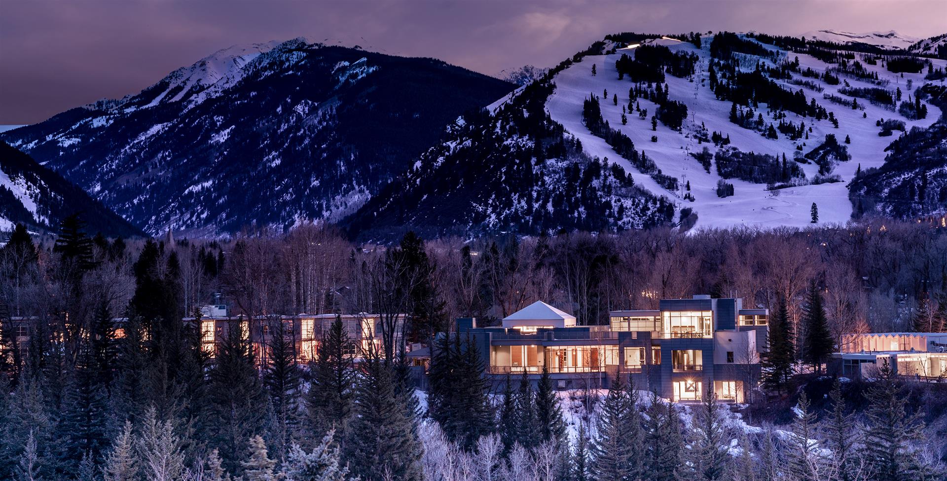 Aspen Meadows in the Winter