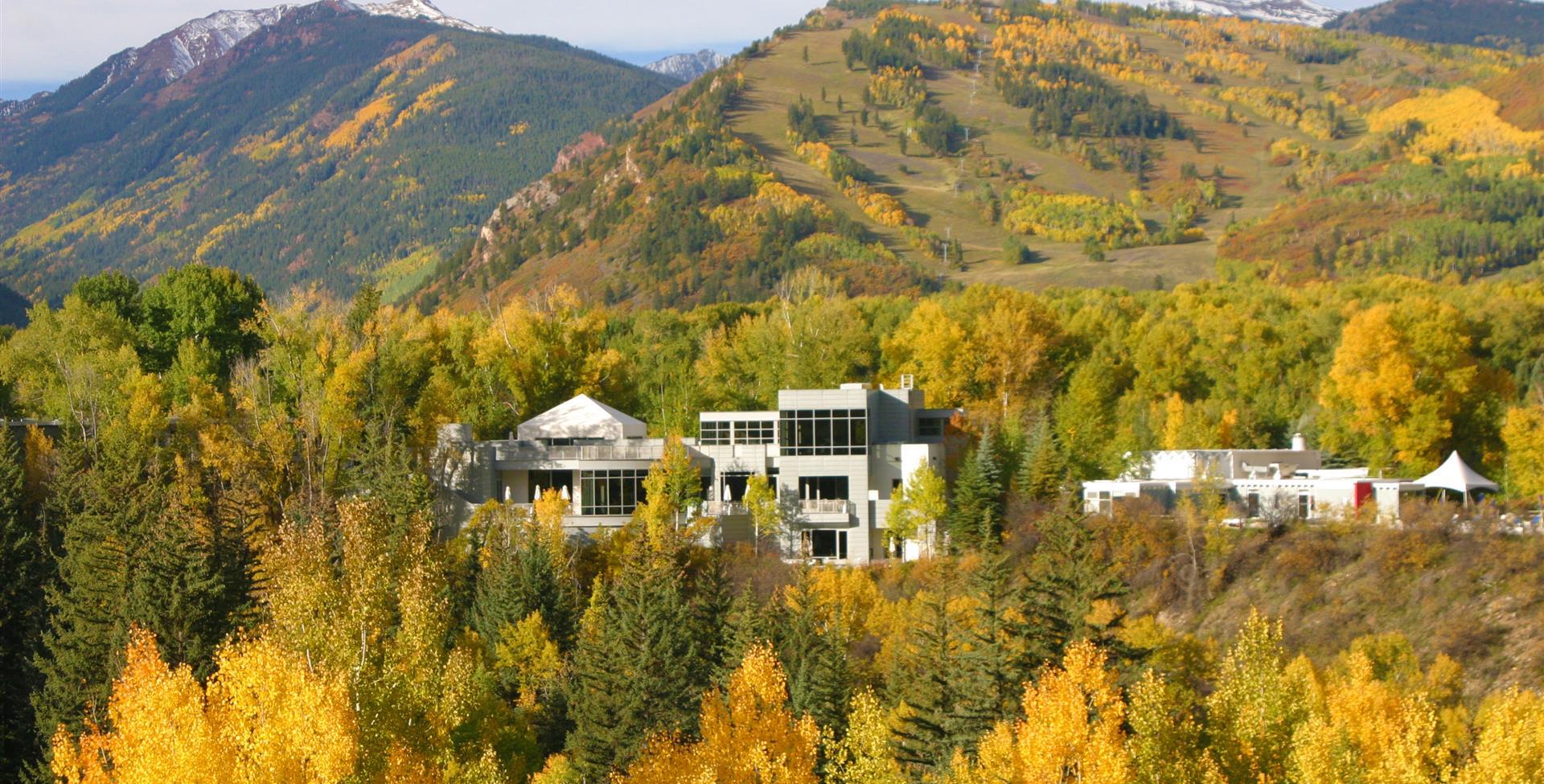 Aspen Meadows in the fall