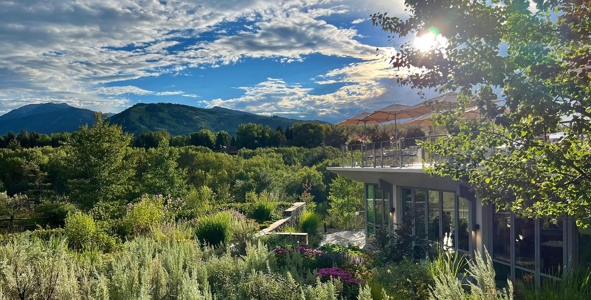 A charming restaurant terrace with a picturesque view of a lush green forest