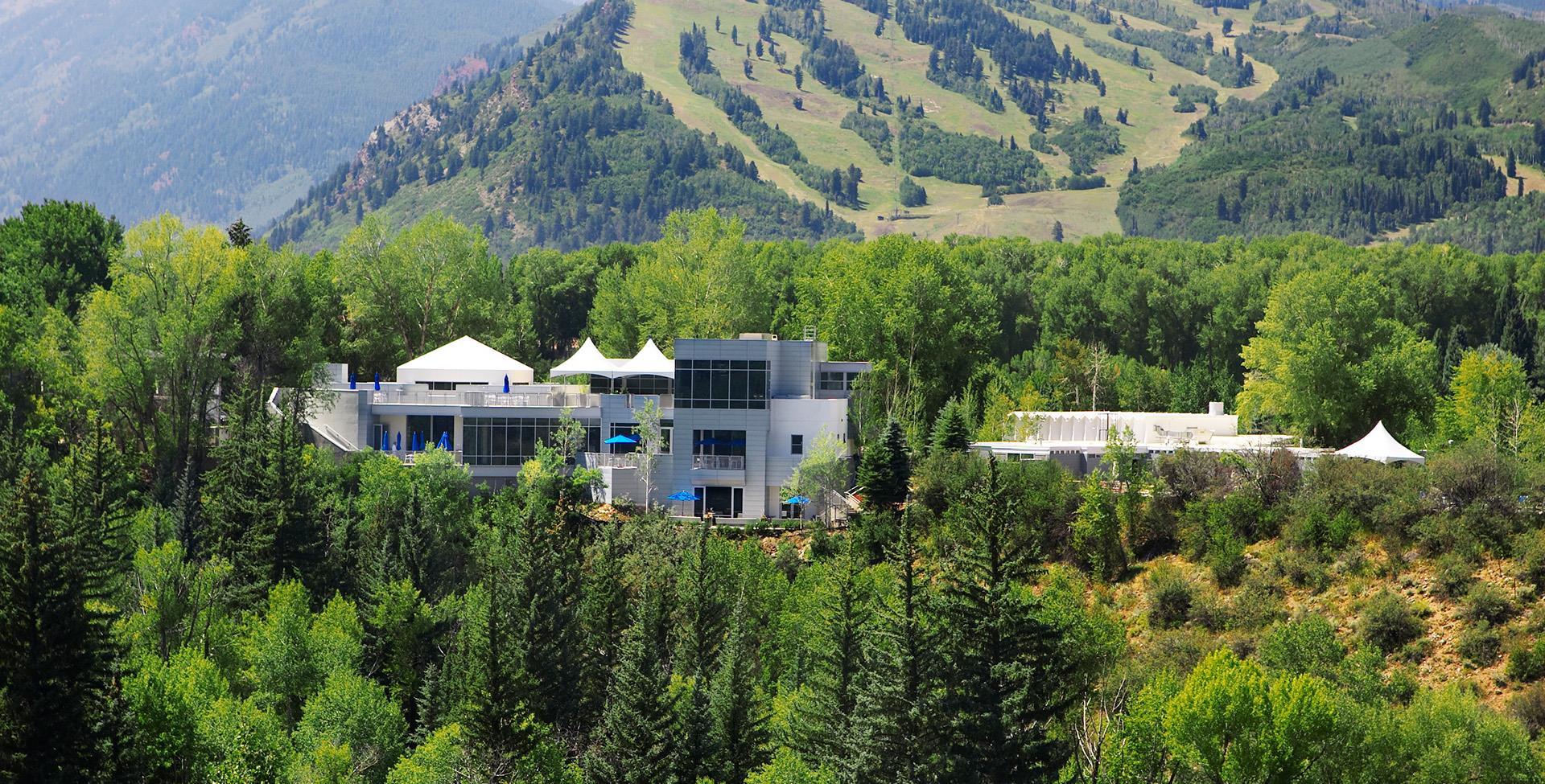 Aspen Meadows in the Summer