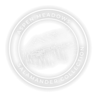 Aspen Meadows Salamander Collection