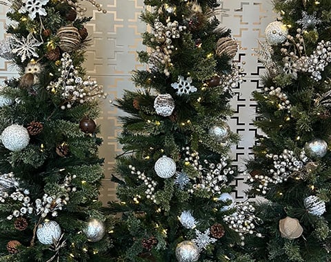 Christmas trees with ornaments