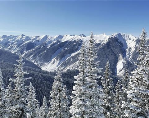 Snowy mountains and trees