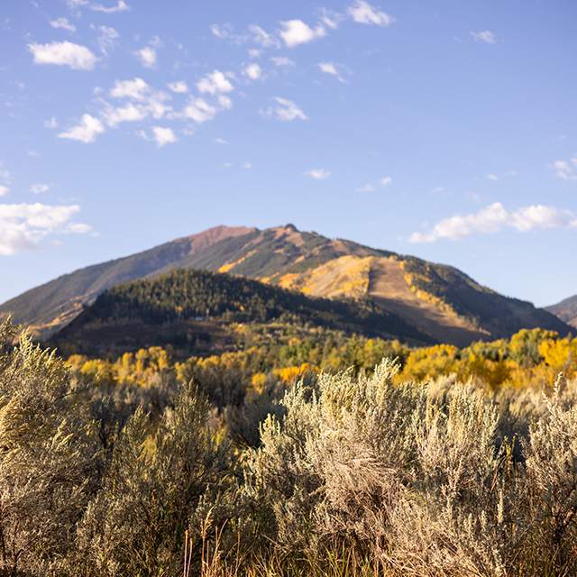 Aspen Mountains in the fall