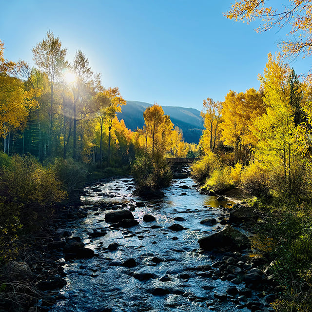 Roaring Fork River in Fall